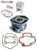 Cylinder kit RMS 100080091 (liquid-cooled)