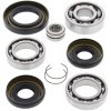 Differential bearing and seal kit All Balls Racing DB25-2001