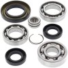 Differential bearing and seal kit All Balls Racing DB25-2002