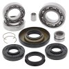 Differential bearing and seal kit All Balls Racing DB25-2006
