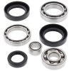 Differential bearing and seal kit All Balls Racing DB25-2007