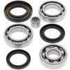Differential bearing and seal kit All Balls Racing DB25-2008