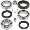 Differential bearing and seal kit All Balls Racing DB25-2011