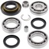 Differential bearing and seal kit All Balls Racing DB25-2013