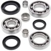 Differential bearing and seal kit All Balls Racing DB25-2020