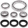 Differential bearing and seal kit All Balls Racing DB25-2022