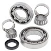 Differential bearing and seal kit All Balls Racing DB25-2038
