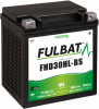 Gel battery FULBAT FHD30HL-BS GEL (Harley.D) (YHD30HL-BS GEL)