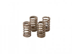 Valve spring kit HOT CAMS