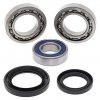 Differential bearing and seal kit All Balls Racing DB25-2039