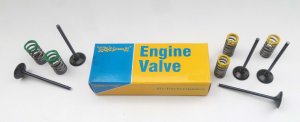 Steel exhaust valve kit AOKI with springs (2 pcs)